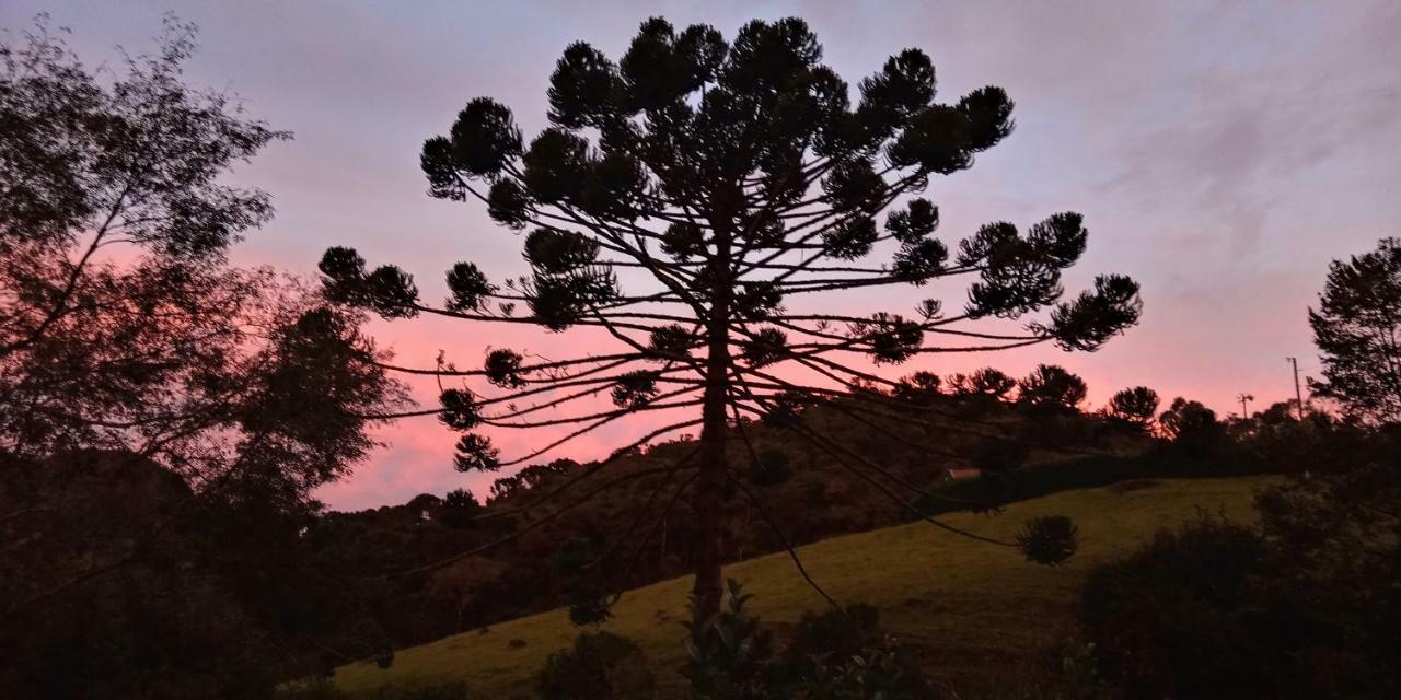 Pousada Recanto Da Vitoria Gonçalves Extérieur photo